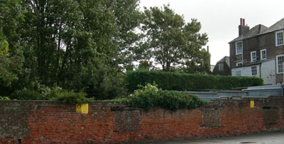 Walled Garden Behind Mary's House in Wincheap