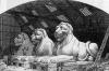 Bridge Lions Bridge Lions